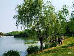 -尚贤河湿地