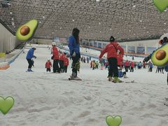 -绍兴启迪乔波冰雪世界