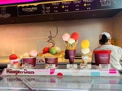 -哈根达斯(西安高新店)