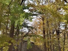 -阳台山自然风景区