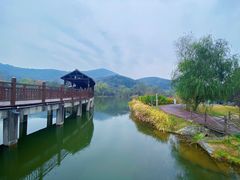 -石塘人家