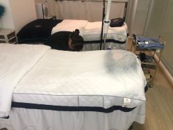 -臣丽纹眉全国连锁