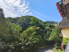 -深圳东部华侨城茵特拉根酒店