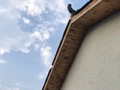 -三圣花乡旅游区