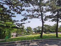 -棒棰岛宾馆景区