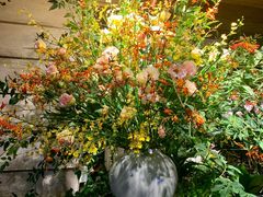 -春暖花开(西溪店)