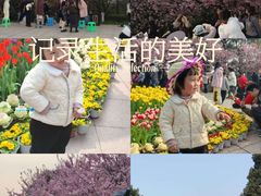 -南山植物园