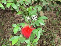 -草庵摩尼教遗址公园