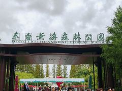 -黄海国家森林公园