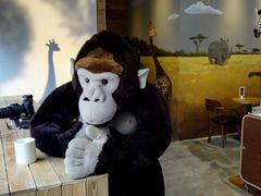 -ZOO COFFEE 动物园咖啡(亦庄店)