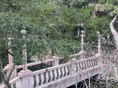 -叶家花园