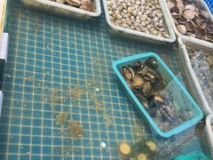 -大锅强·蒸海鲜青岛菜(吾悦广场店)