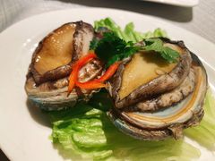 澳洲鲍鱼-協成海鮮火鍋(老店)
