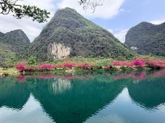 -靖西鹅泉风景区