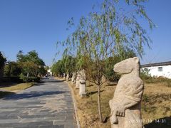 -杏花村文化旅游区