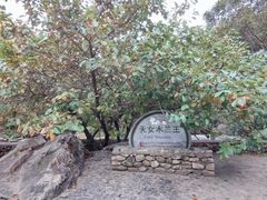 -大连天门山国家森林公园
