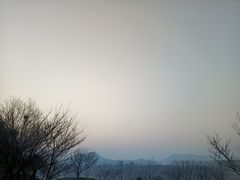 -羊山湖公园