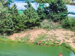 -西霞口神雕山野生动物世界