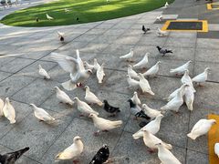 -IPARK购物中心