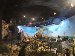 -陕西自然博物馆