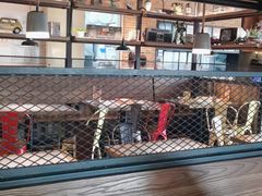 -探鱼·鲜青椒爽麻烤鱼(天河优托邦店)