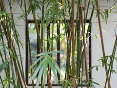 -静安公园(静安寺街道)
