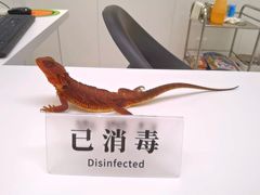 -立德动物医院·异宠·CT·鹦鹉(天河店)