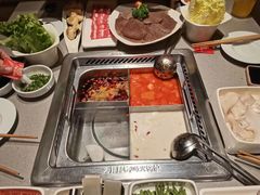 -海底捞火锅(宏大财富广场店)