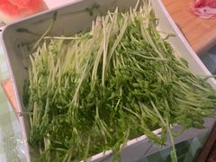 鲜活豌豆苗-番食园鲜食火锅(高新店)