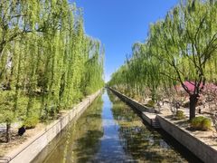 -元大都城垣遗址公园