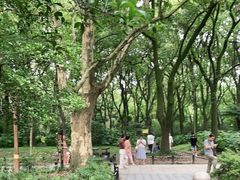 -上海共青森林公园