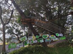 -芦仙山景区-飞越丛林探险乐园