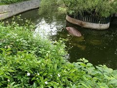 -深圳野生动物园