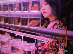 -华声天桥民俗文化园