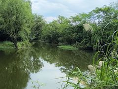 -西溪国家湿地公园