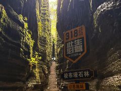 -梭布垭石林景区