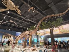 -国家自然博物馆