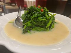 鹰嘴豆豌豆尖-北京西单美爵酒店-融轩中餐厅