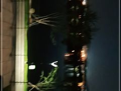 -羊山湖公园