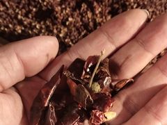 -鹿鸣山草本茶香火锅(园西路店)
