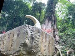 -七仙岭温泉国家森林公园