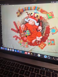 -花开映像儿童摄影