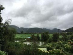 -龙姐私房菜(和顺古镇店)