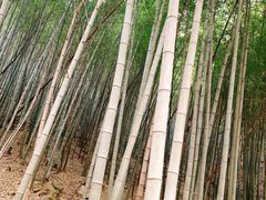 -穹窿山景区