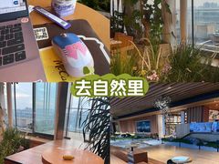 -Seesaw Coffee(朝阳大悦城店)