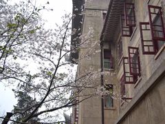-武汉大学-樱园