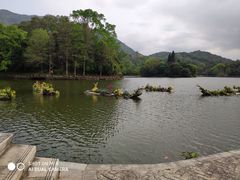 -深圳仙湖植物园