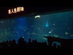 -福州罗源湾海洋世界旅游区