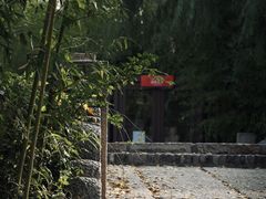 -广富林郊野公园