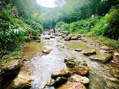 -峨眉山风景名胜区
